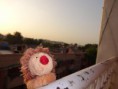 /album/igel-on-tour/dsc00161-jpg/