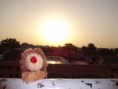 /album/igel-on-tour/dsc00160-jpg/