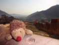 /album/igel-on-tour/dsc03146-jpg/