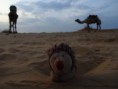/album/igel-on-tour/dsc03116-jpg/